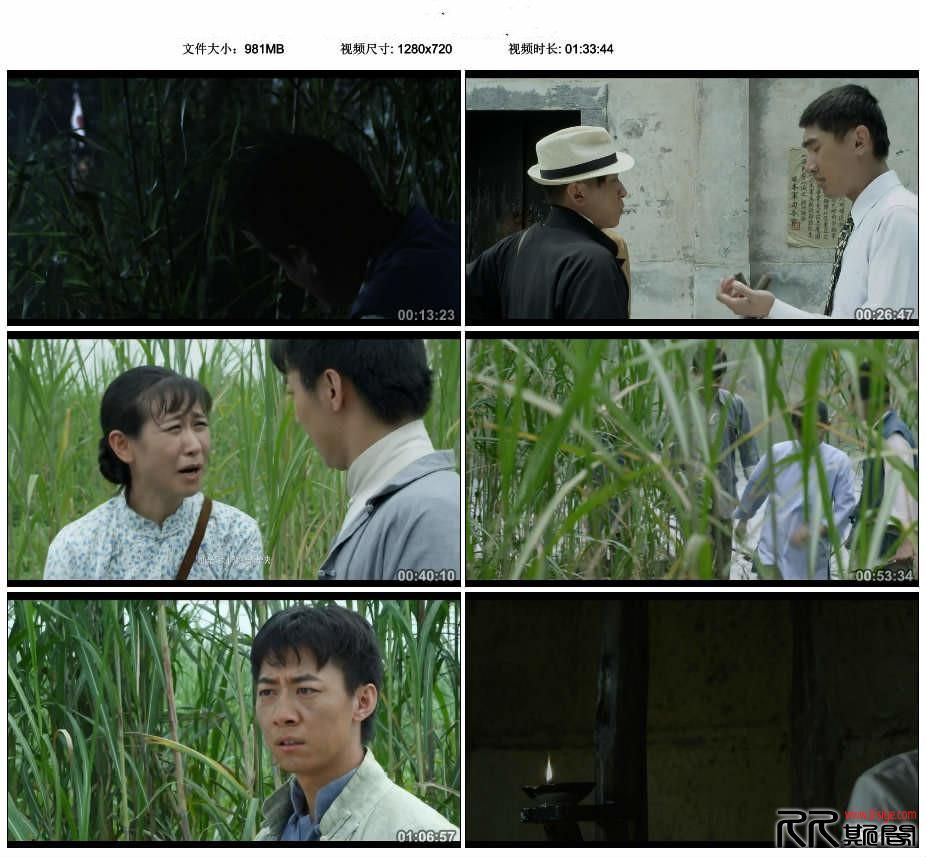 [01.21][大陆][战争][奇袭胡家台][WEB-MKV/2.51G][国语中字] [已测]