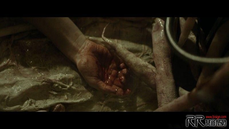 [01.27][澳大利亚][科幻][终点站][HD-MP4/1.67G/3.2G][英语-中英字幕][720P/1080P][已测]