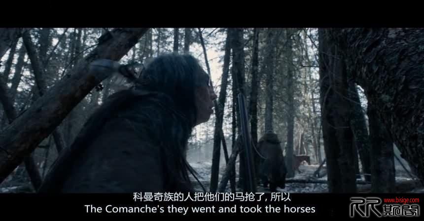 [02.15][美国][冒险][荒野猎人][720P/3.4G][中英字幕][英文原音压制][小李子新春贺岁][已测]