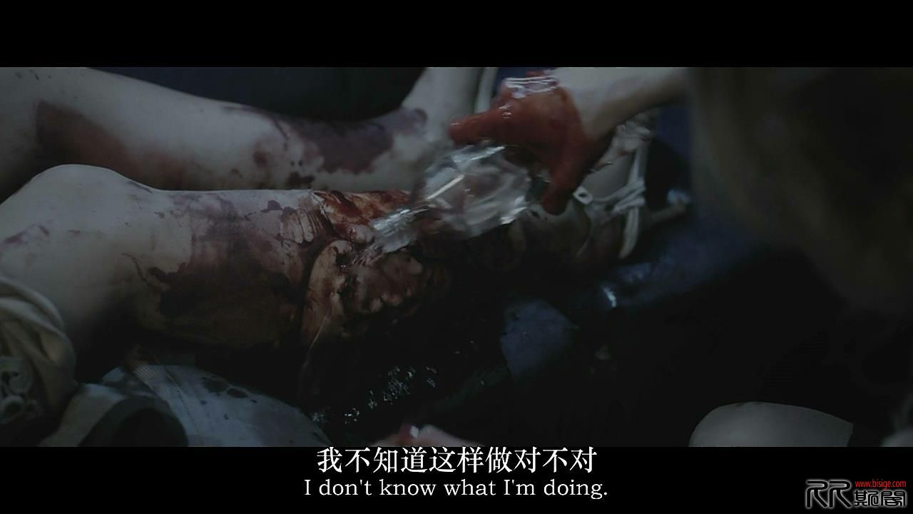 [06.23][欧美][恐怖][嚎叫/鬼蚊子：完结篇/Howl.2015][BD-MKV/3G][中英字幕][已测]