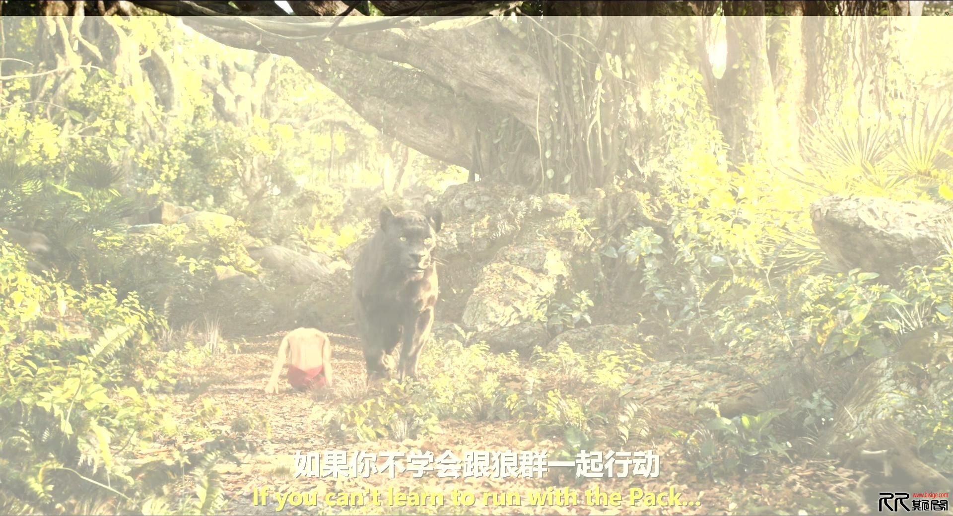 [08.28][美国][冒险][奇幻森林完美双语][1080P mp4/3.06g[中英双语][小体积高画质完美字幕][已测]