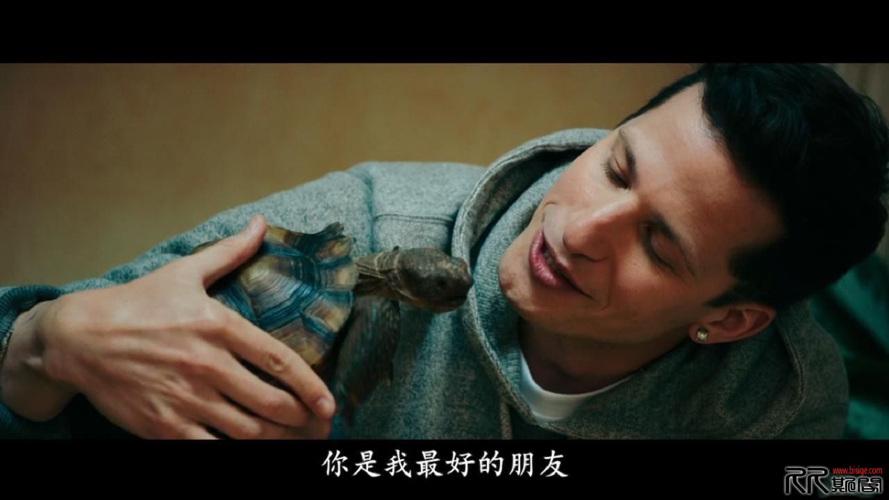 [10.22][美国][动作][流行歌星：永不停歇][BluRay720P-MKV/2.16G][中文字幕][16年6月美国剧情喜剧音乐片][ ...