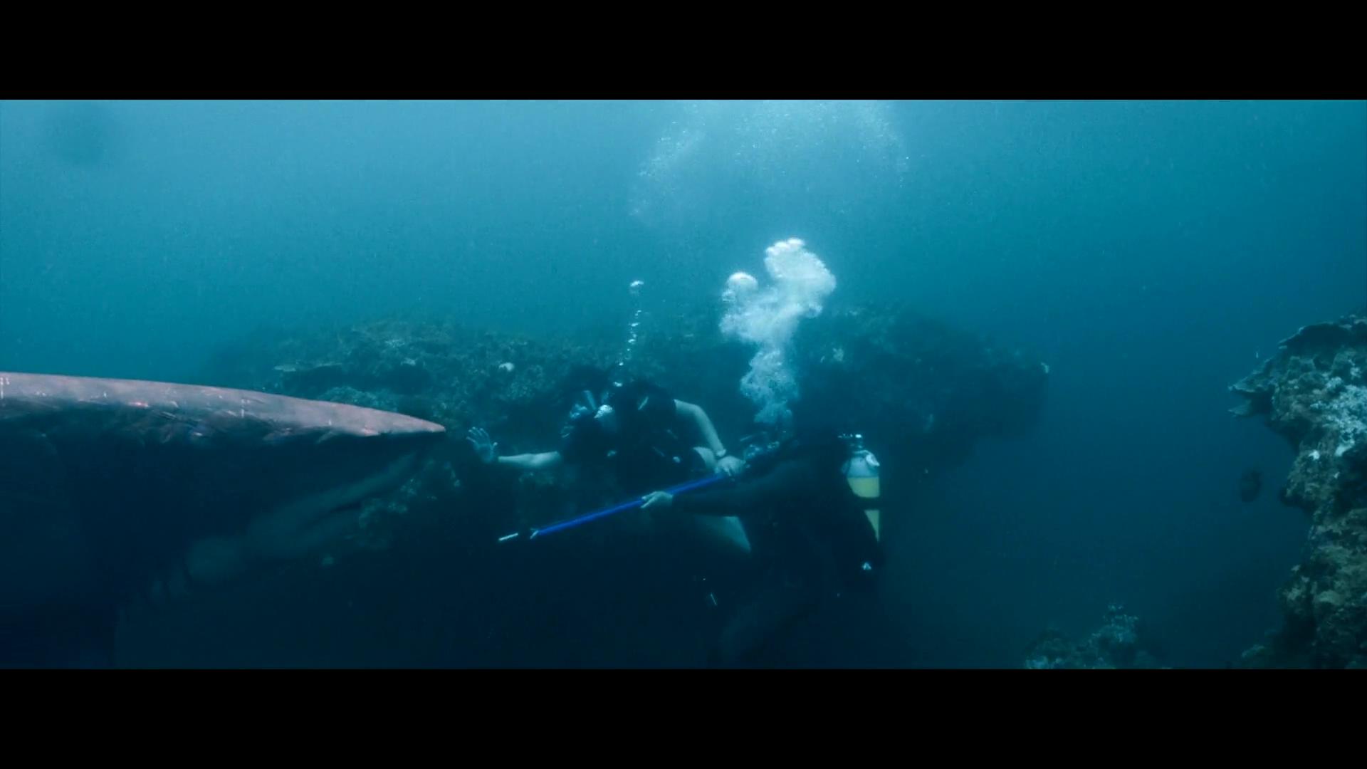 449647ace43c08549.jpg