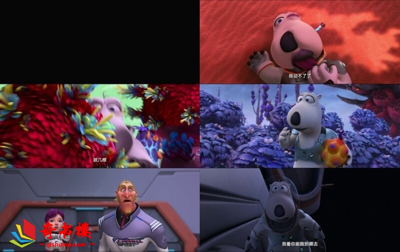 j8bg0xq9tjw5.jpg
